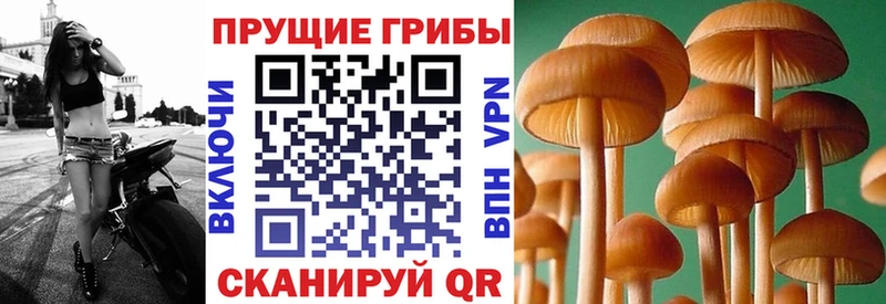 Галлюциногенные грибы мухоморы  где купить   Горбатов 